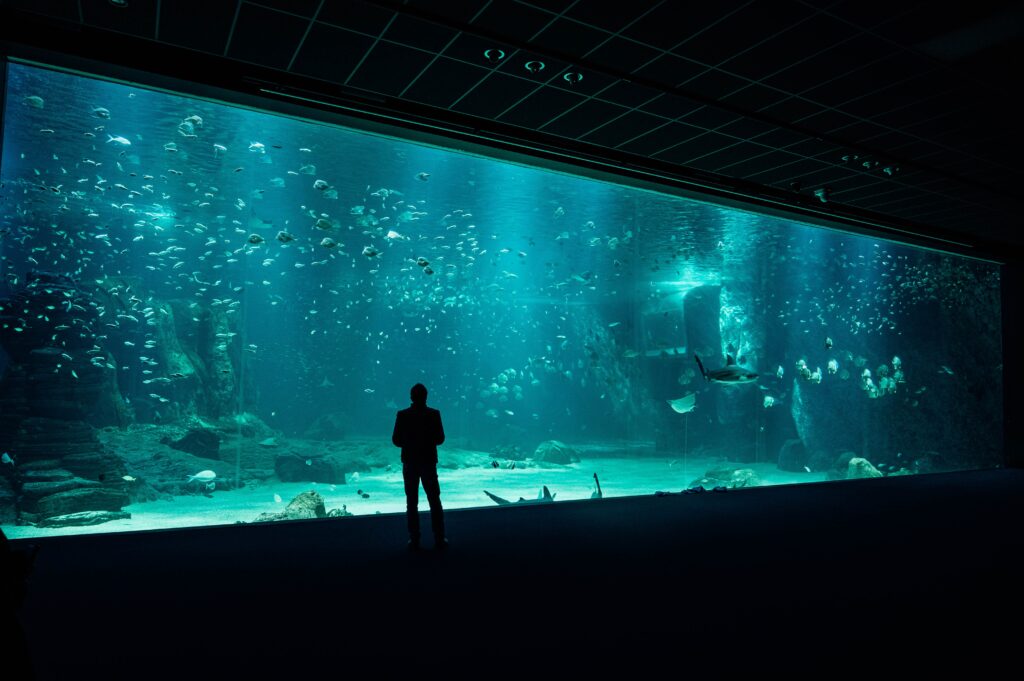 Best Aquariums In The US